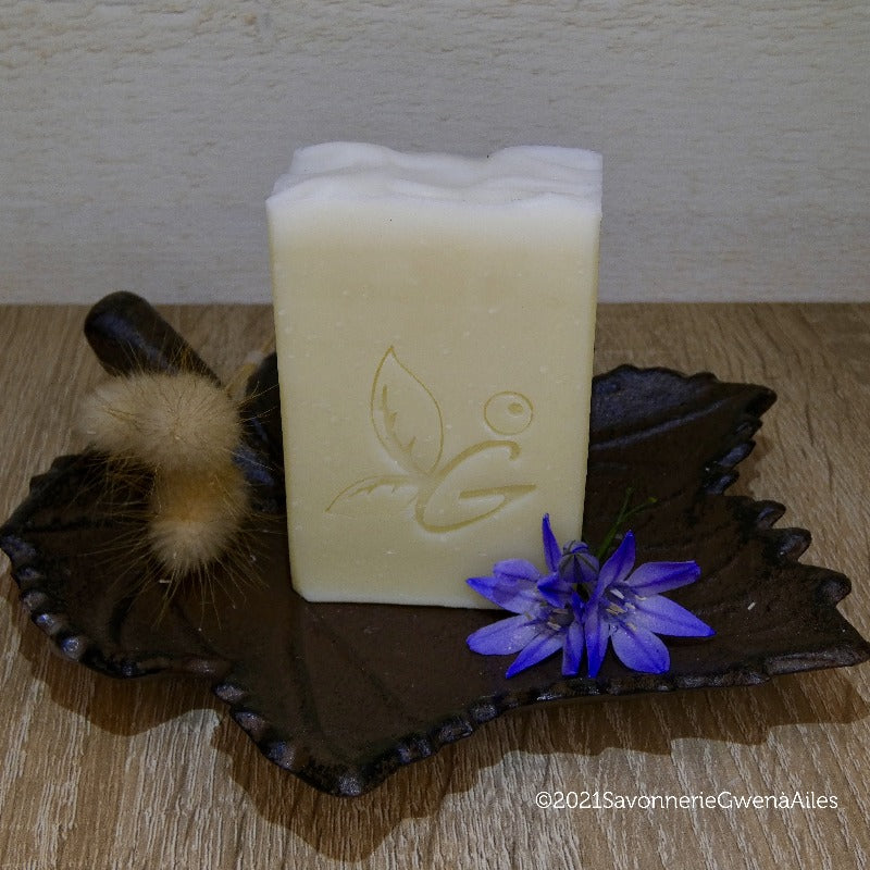 LA SIMPLICITÉ - Cameline - 100g